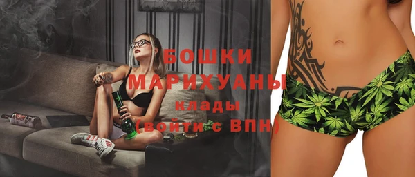 Альфа ПВП Аркадак