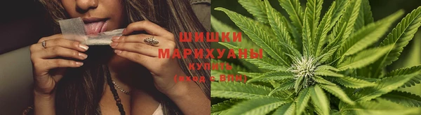 шишки Армянск