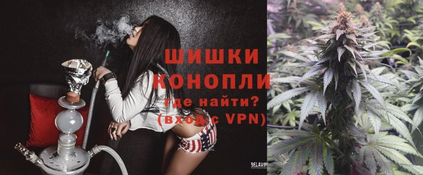 Альфа ПВП Аркадак