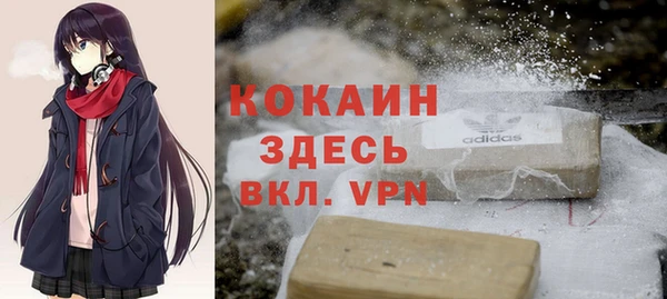 шишки Армянск