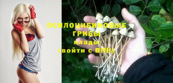 шишки Армянск