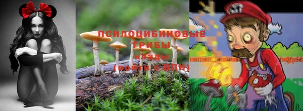 Альфа ПВП Аркадак